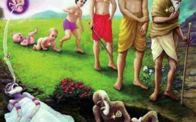 La reencarnación. Parte2